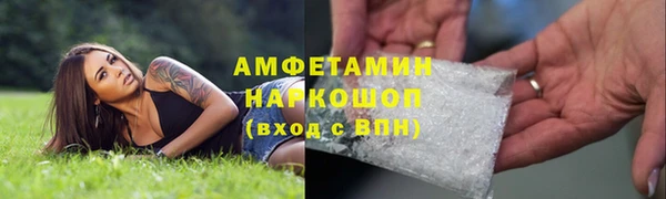 индика Алзамай